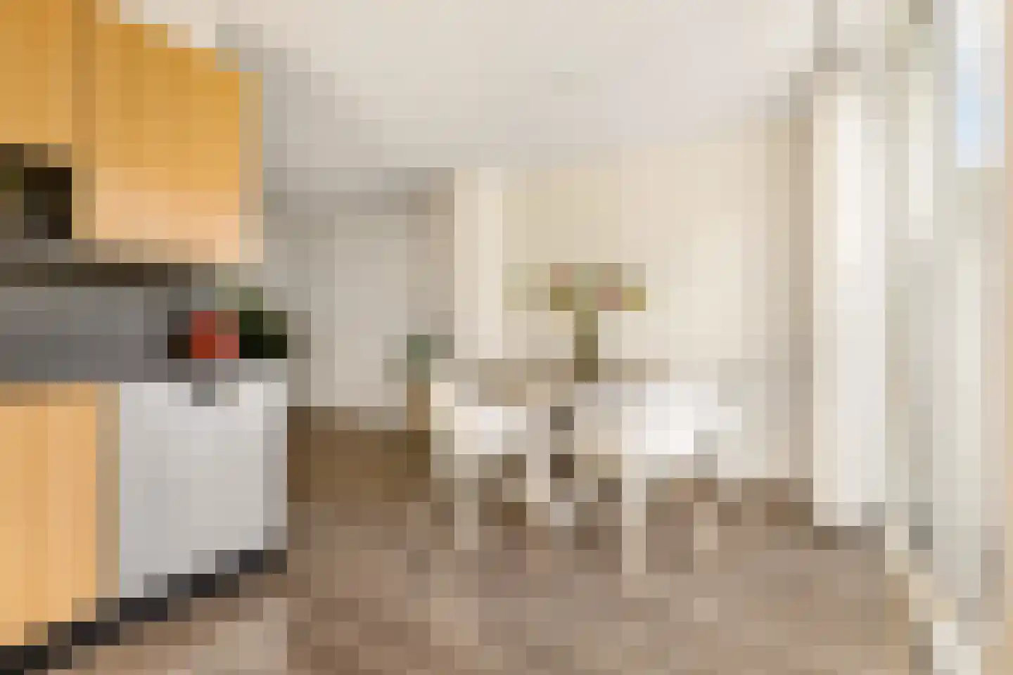 Reaalslag 29 Houten thumbnail 17