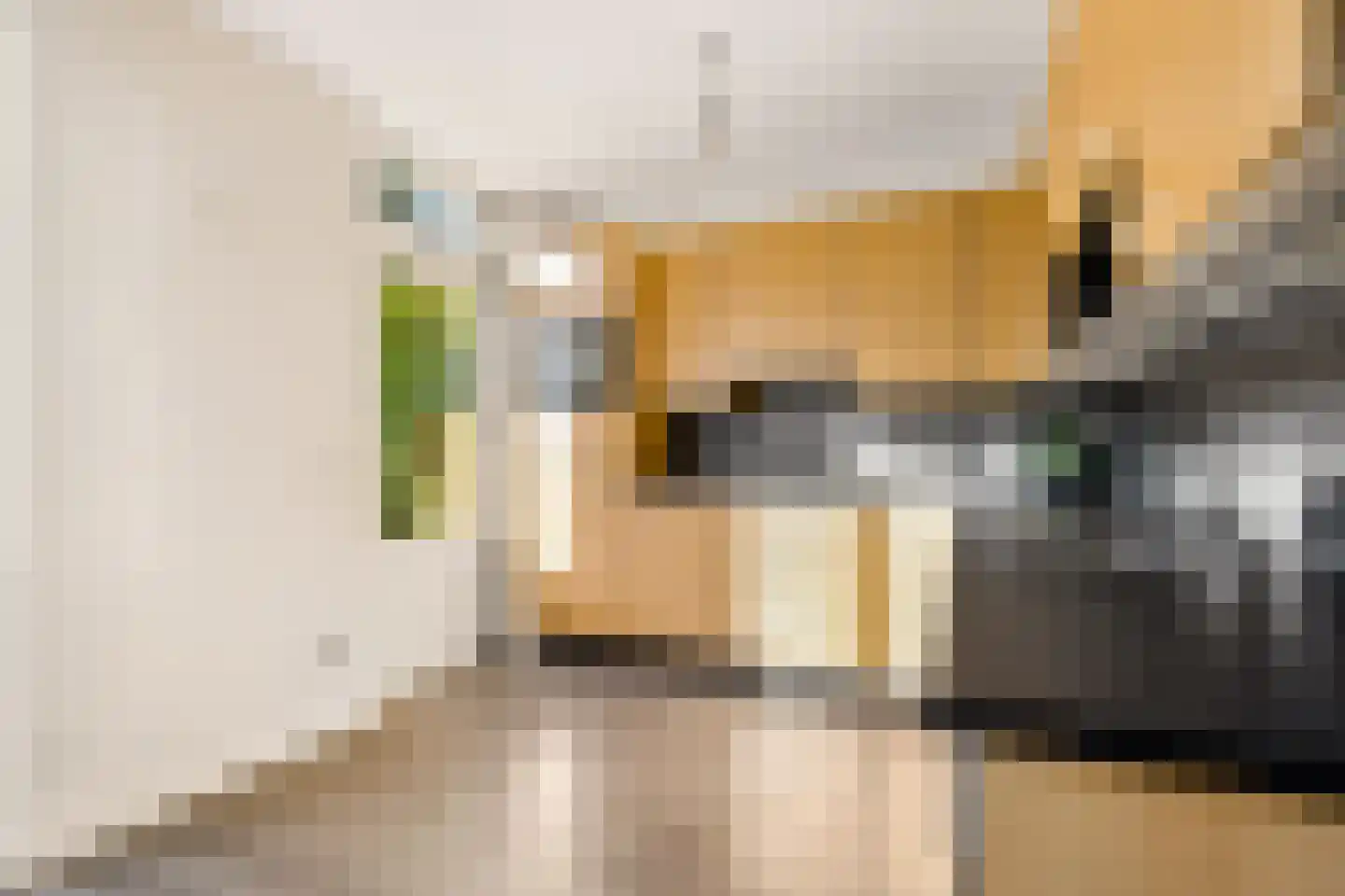 Reaalslag 29 Houten thumbnail 19