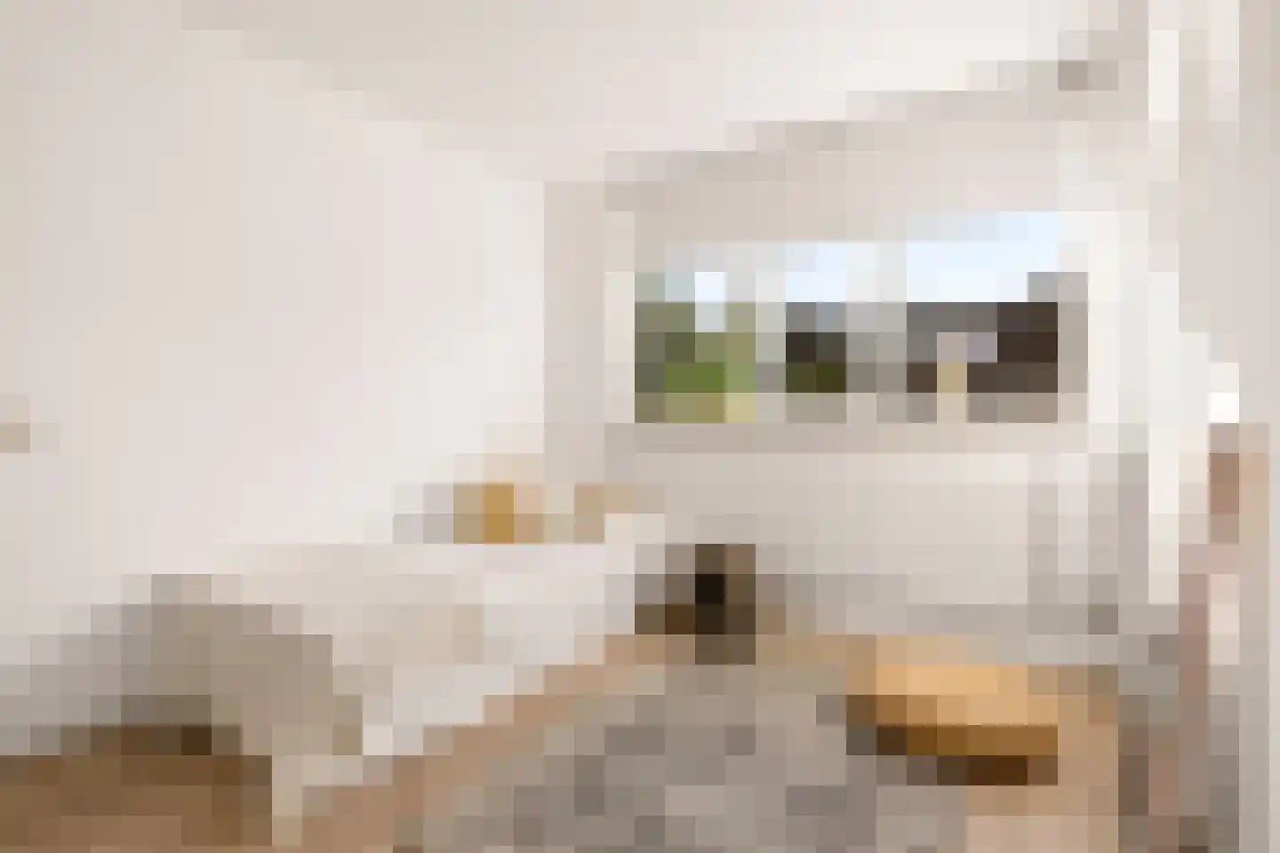 Reaalslag 29 Houten thumbnail 25