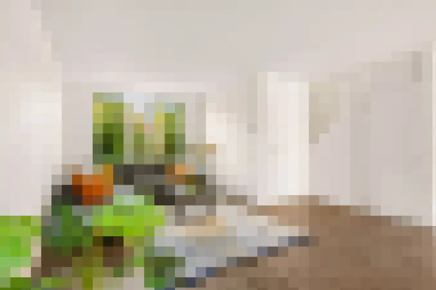 Reaalslag 29 Houten thumbnail 4
