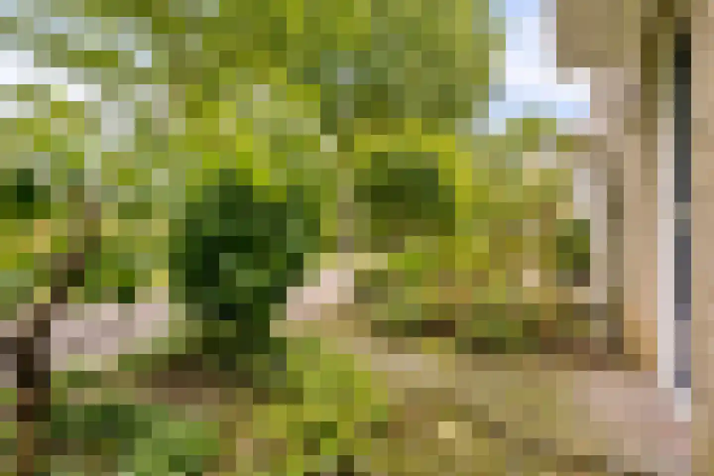 Reaalslag 29 Houten thumbnail 43