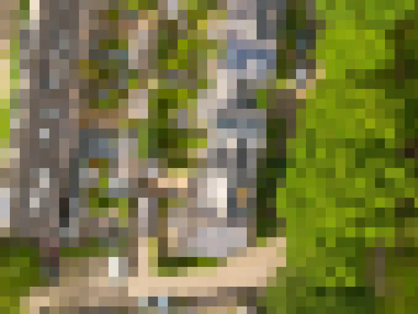 Reaalslag 29 Houten thumbnail 46