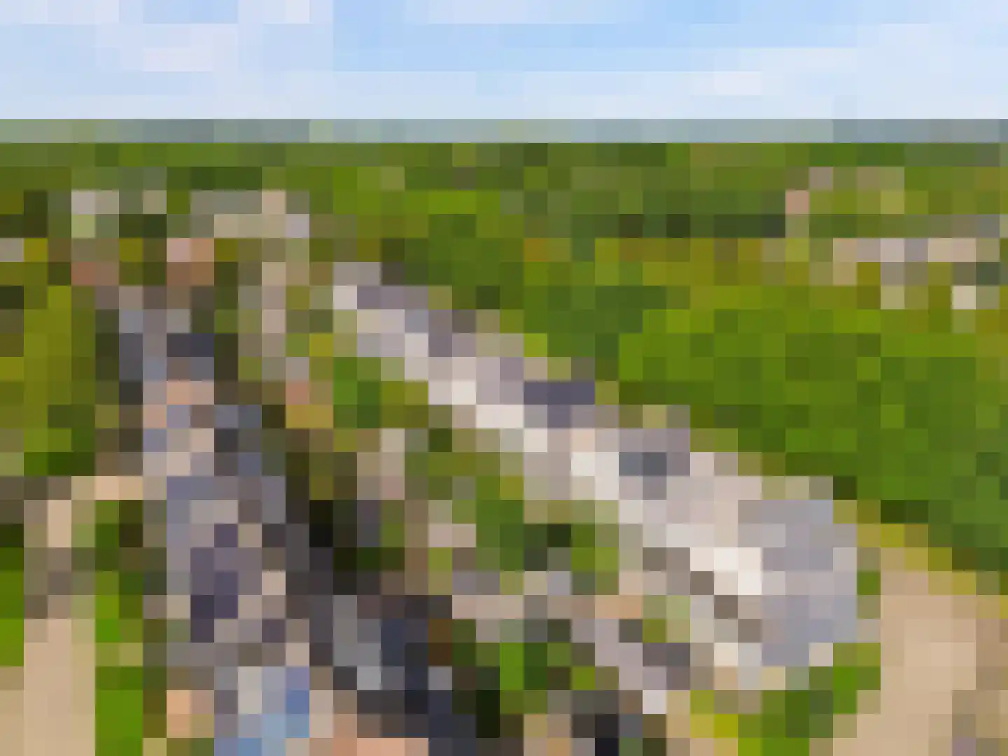 Reaalslag 29 Houten thumbnail 47