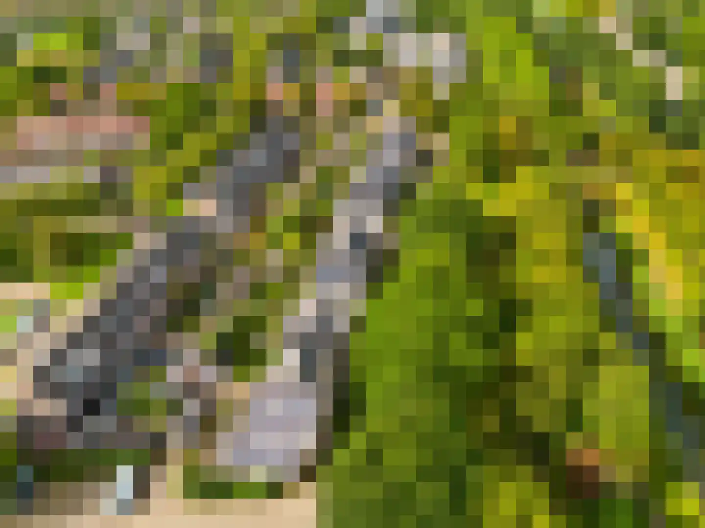 Reaalslag 29 Houten thumbnail 48