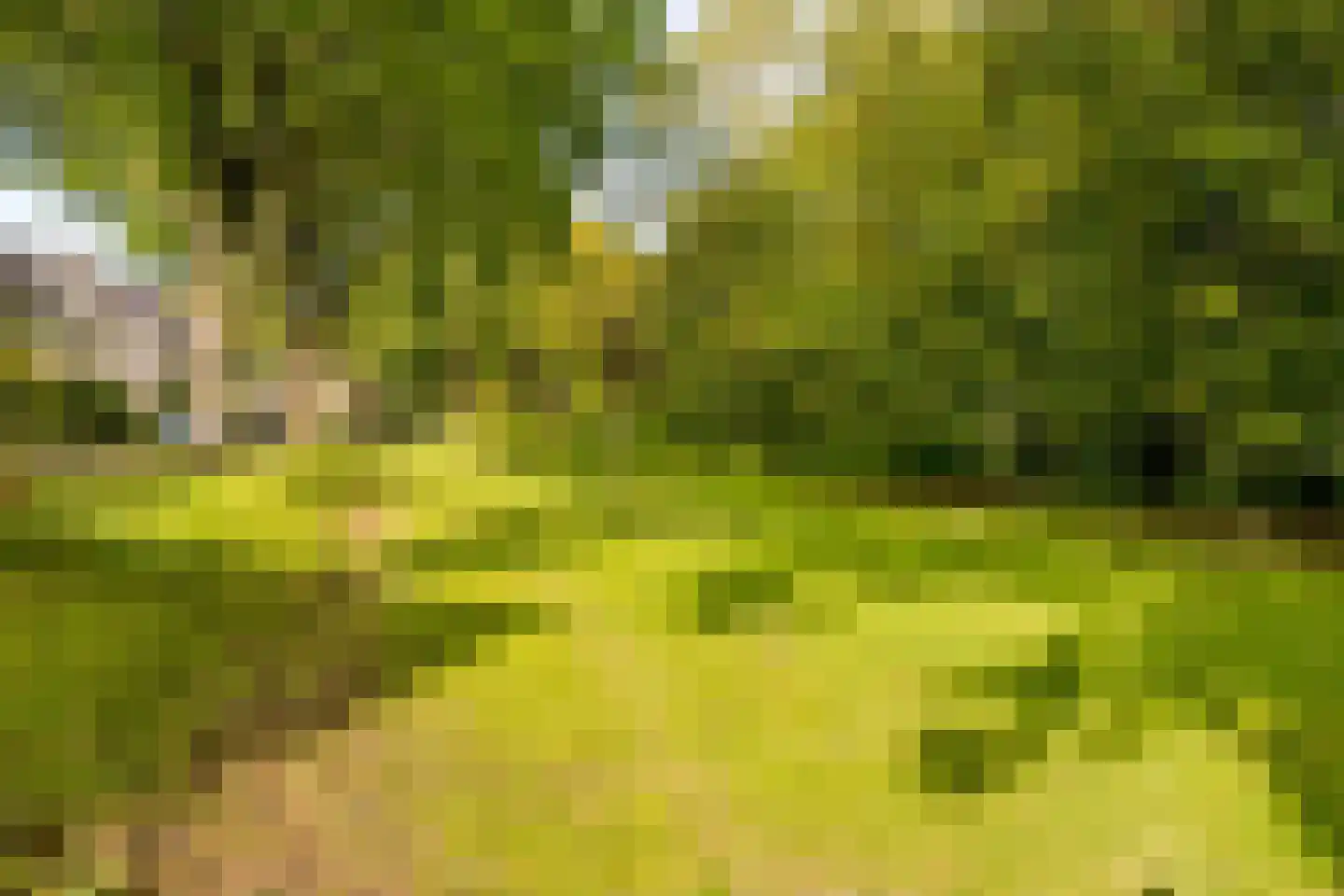 Reaalslag 29 Houten thumbnail 49