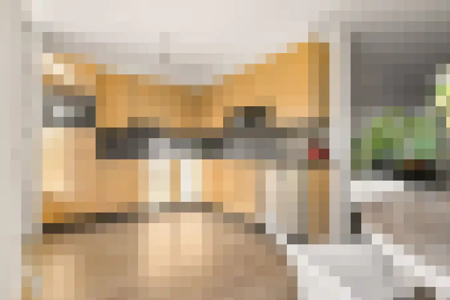 Reaalslag 29 Houten thumbnail 5