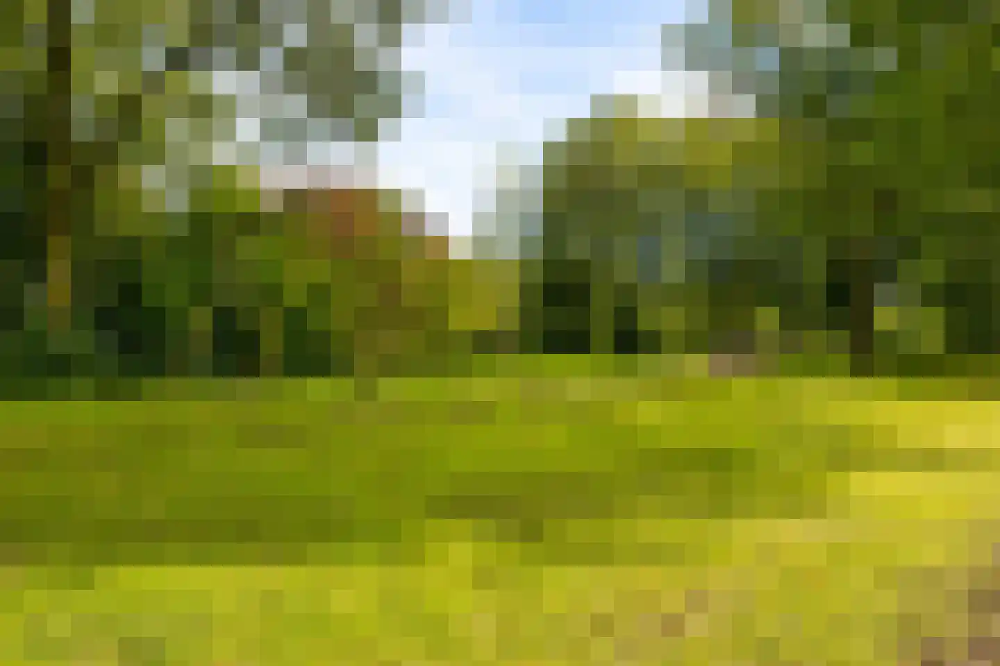 Reaalslag 29 Houten thumbnail 50