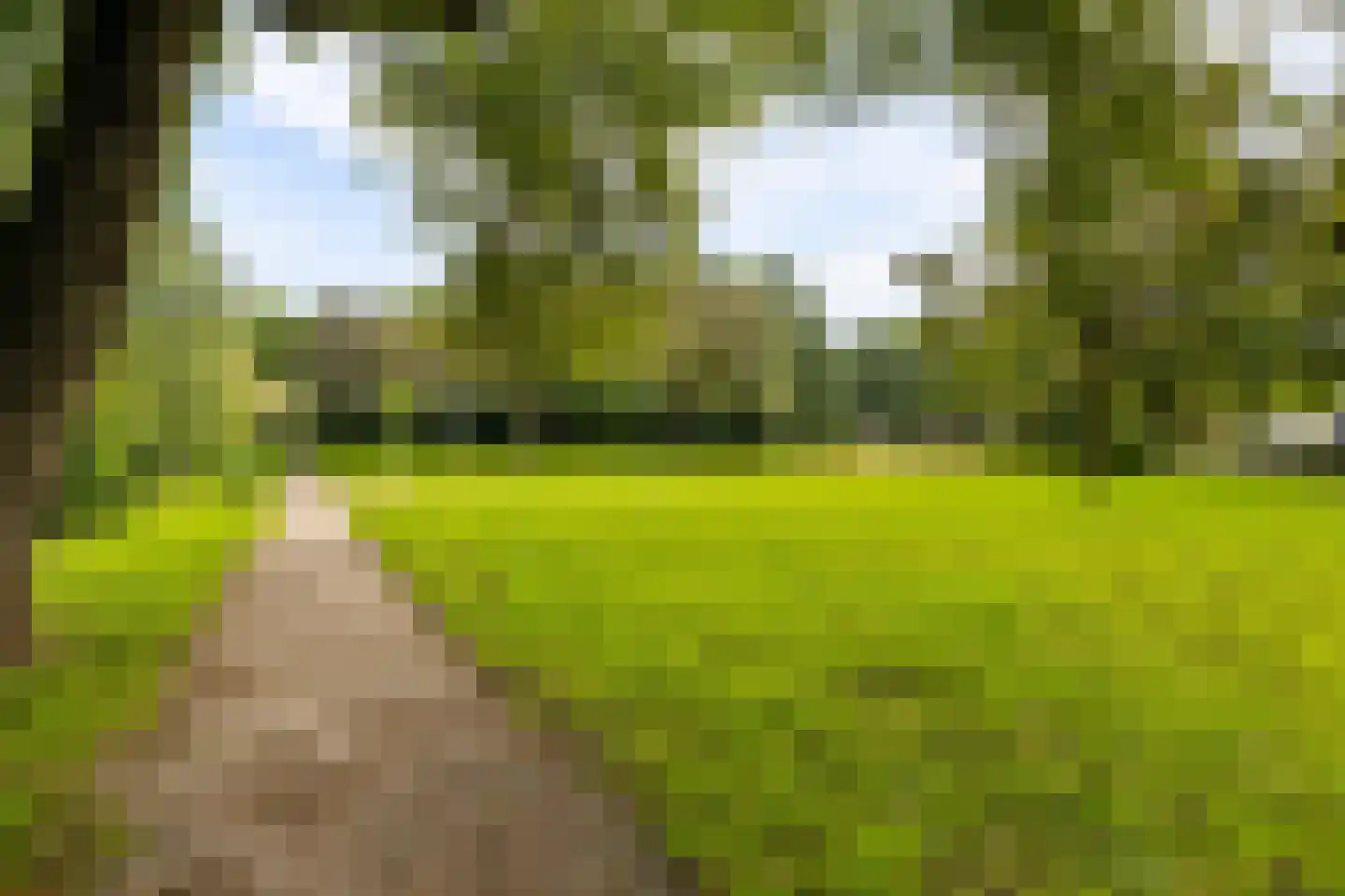 Reaalslag 29 Houten thumbnail 51
