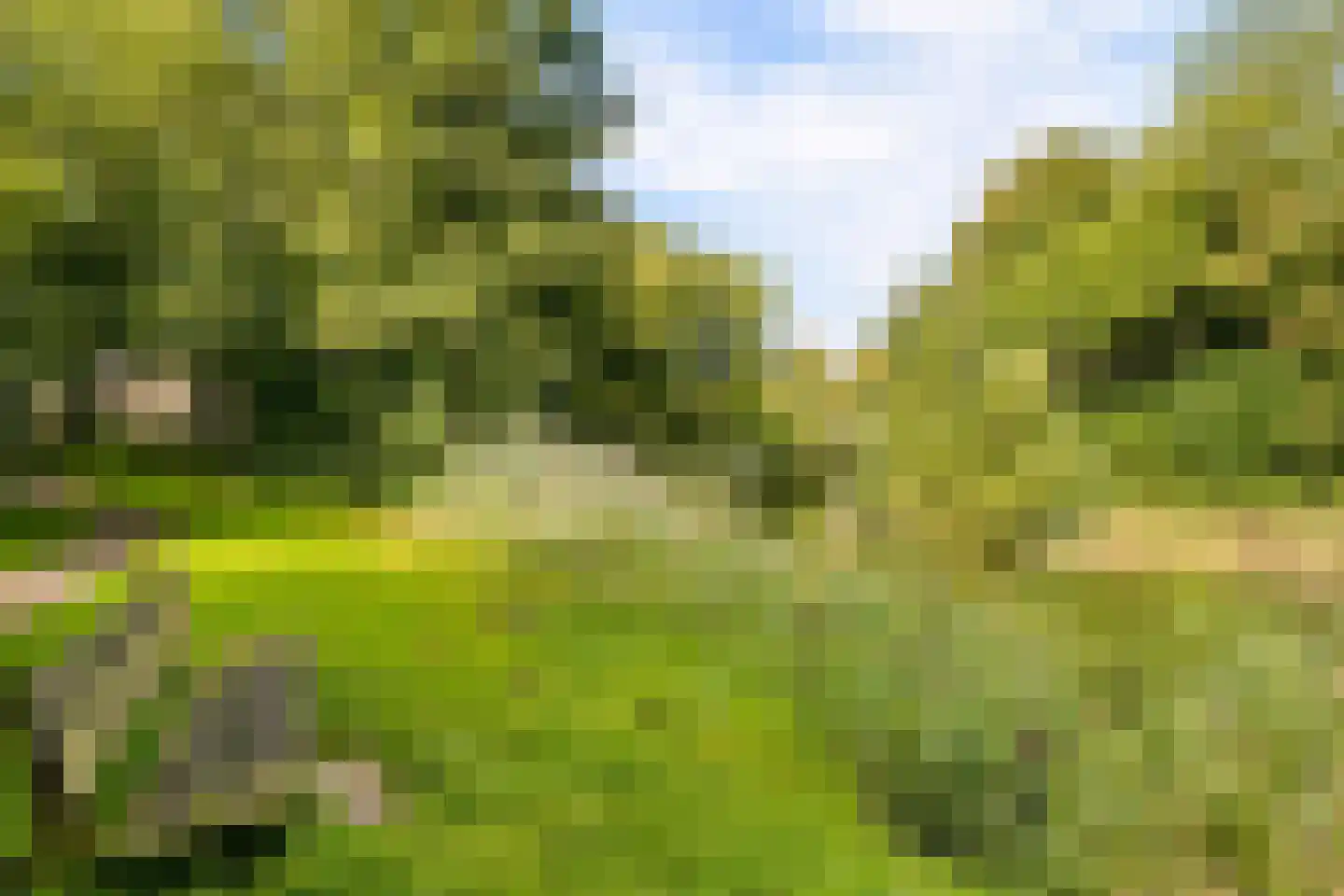 Reaalslag 29 Houten thumbnail 52