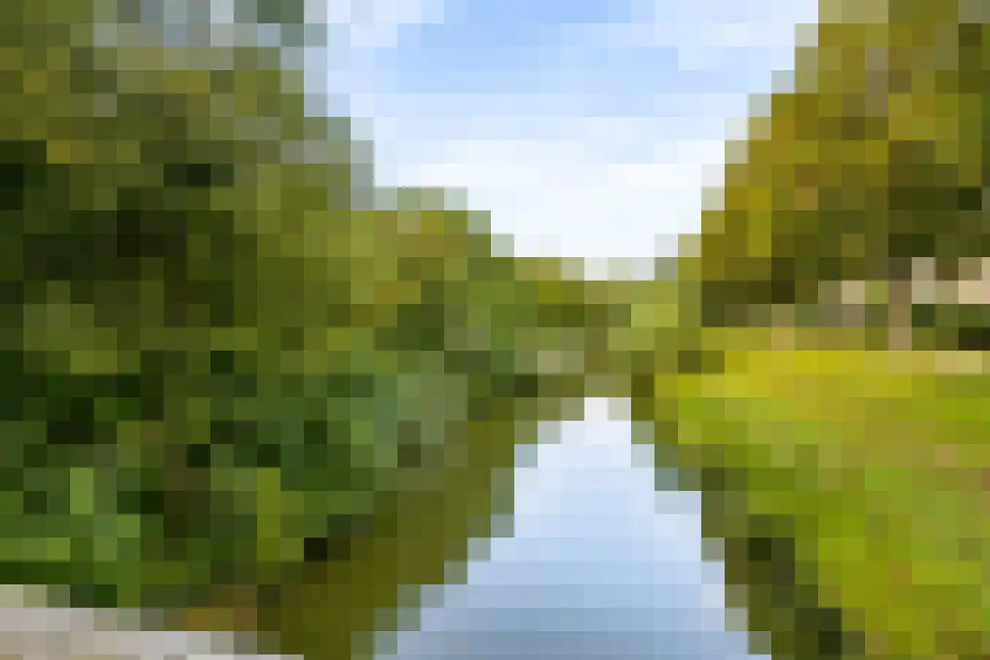 Reaalslag 29 Houten thumbnail 53