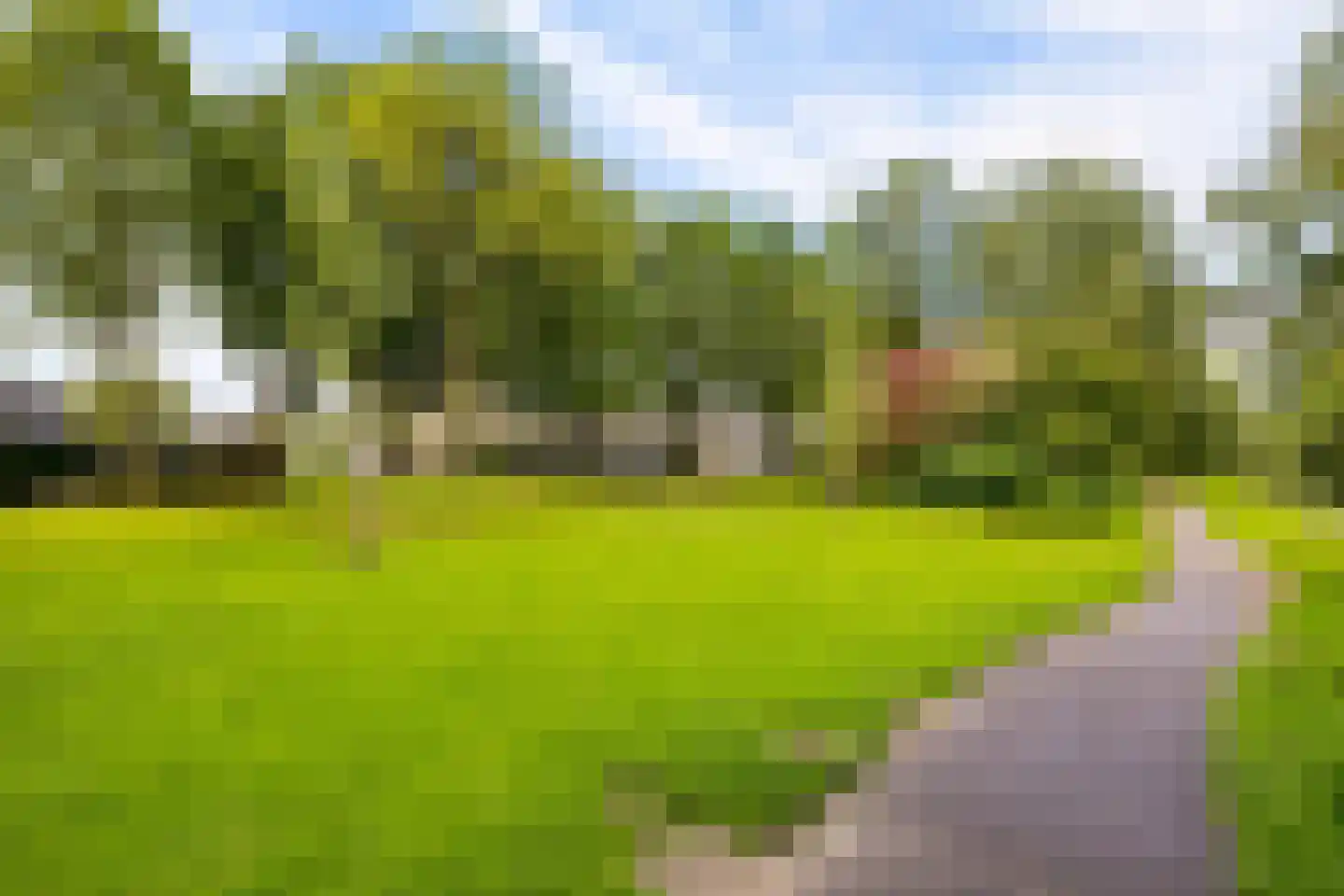 Reaalslag 29 Houten thumbnail 54