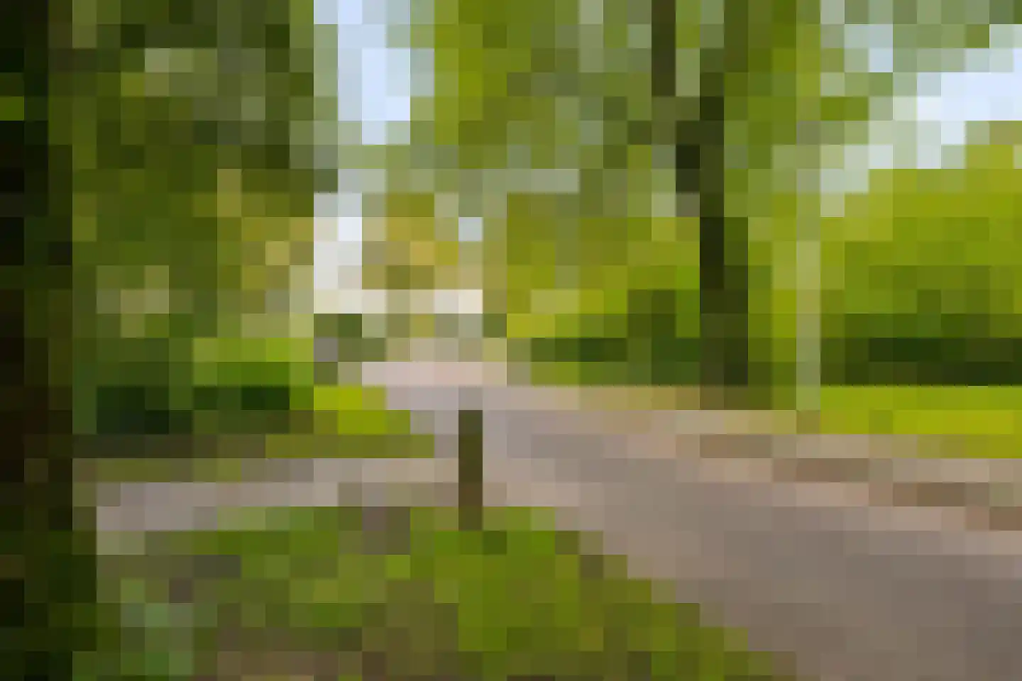 Reaalslag 29 Houten thumbnail 55