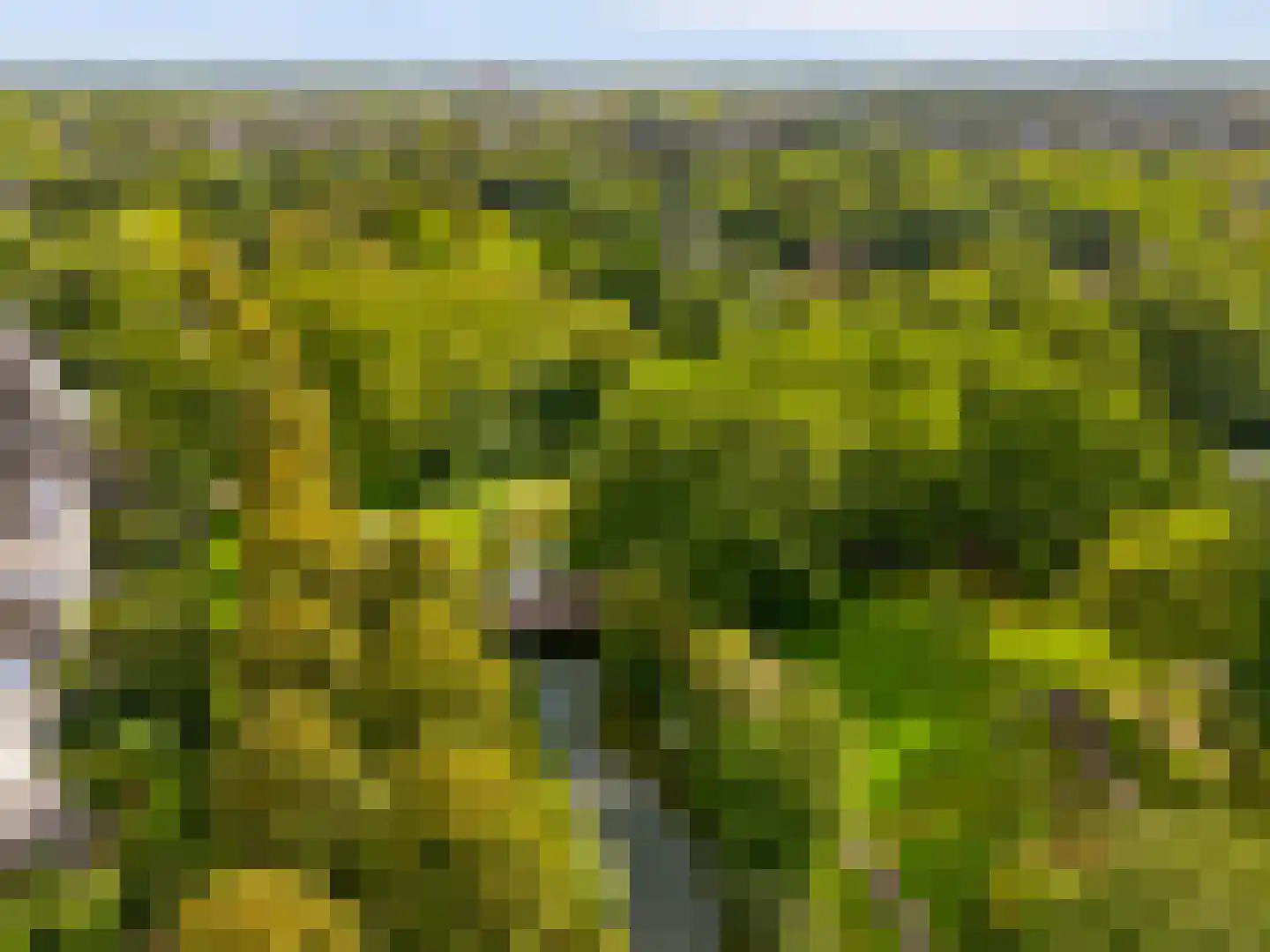 Reaalslag 29 Houten thumbnail 58