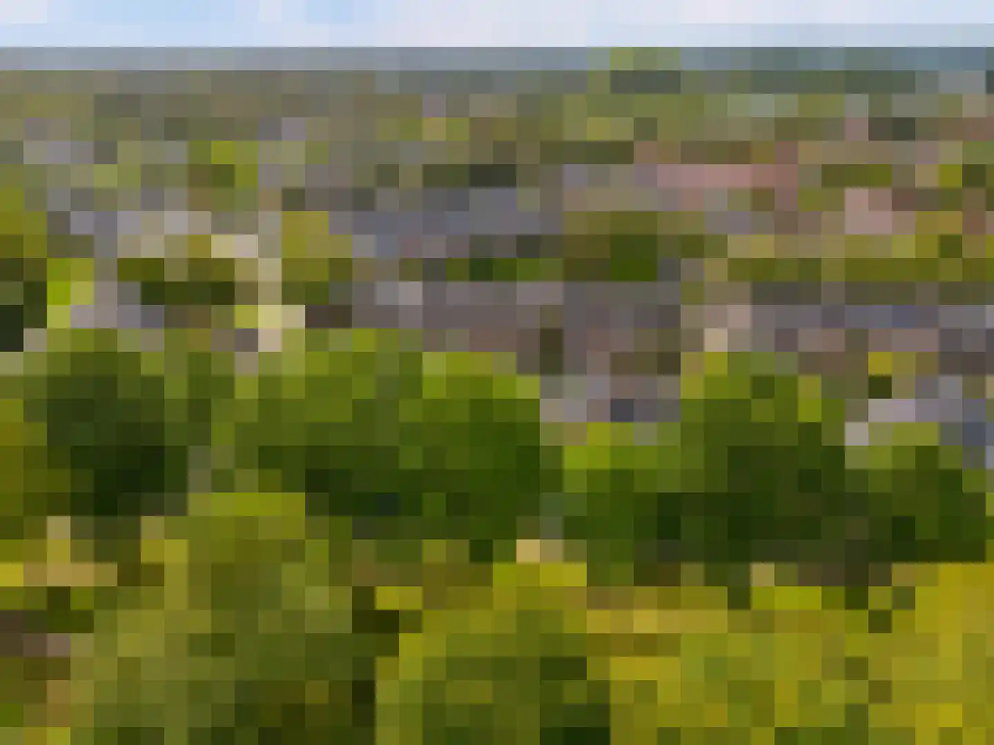 Reaalslag 29 Houten thumbnail 59