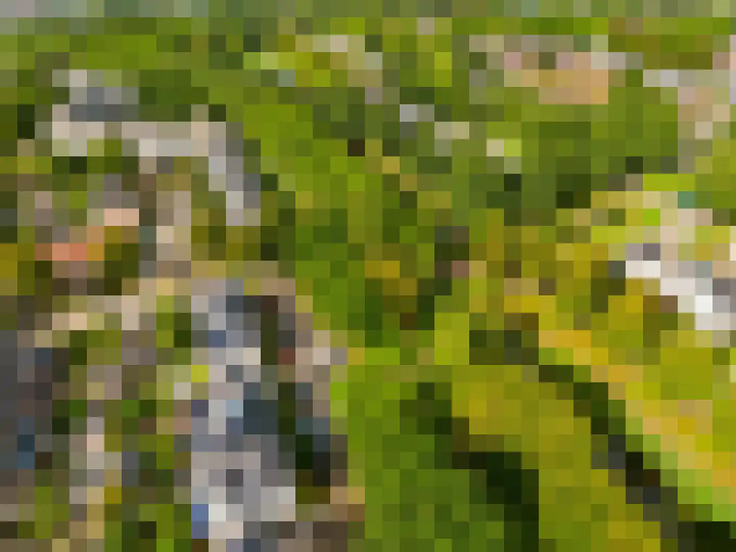 Reaalslag 29 Houten thumbnail 60