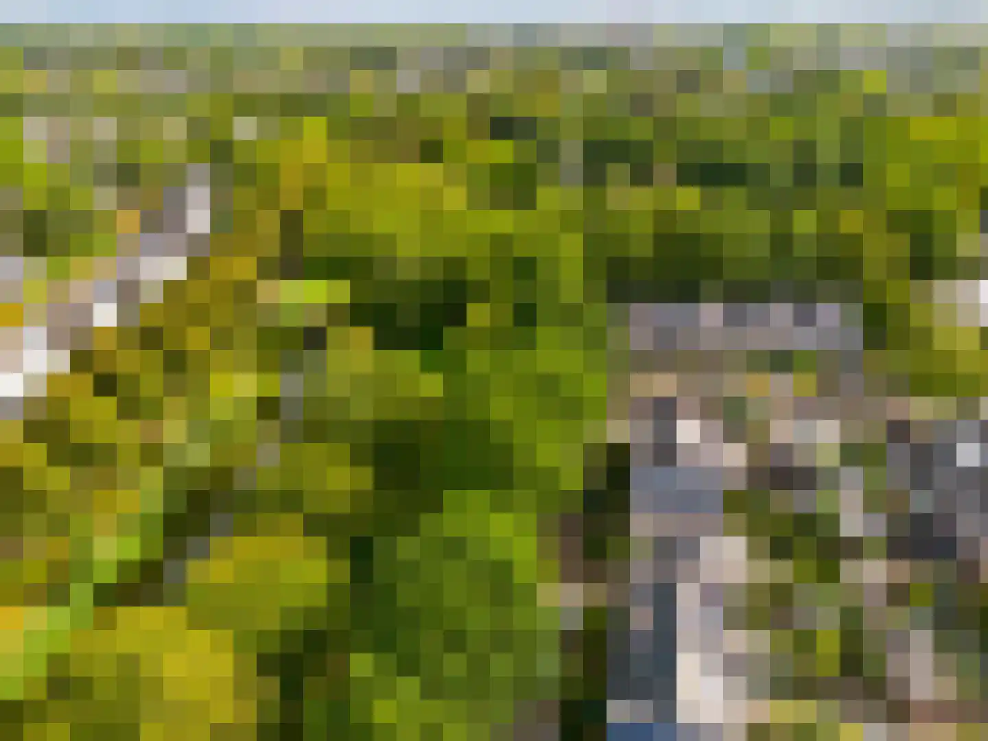 Reaalslag 29 Houten thumbnail 62
