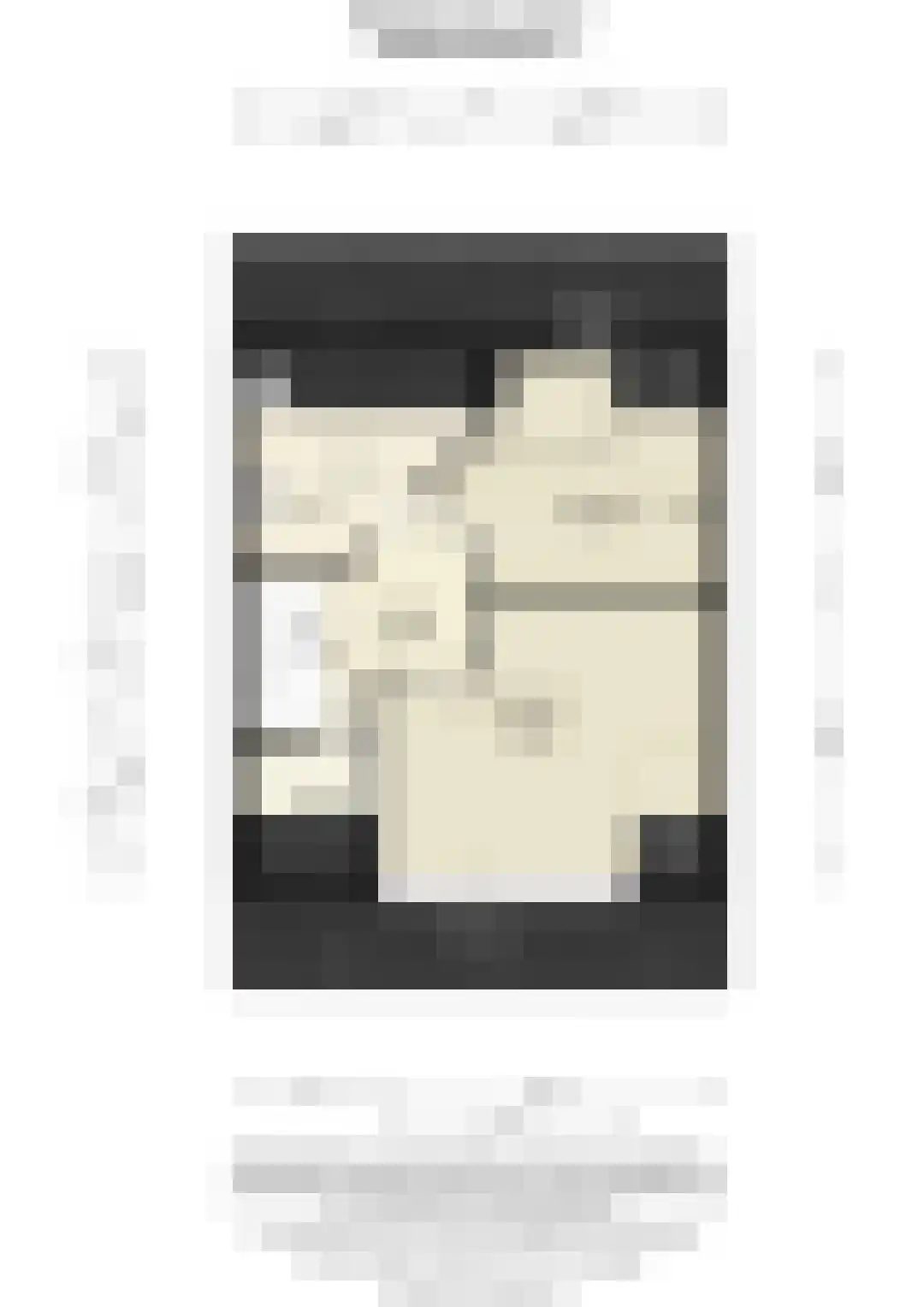 Reaalslag 29 Houten thumbnail 66