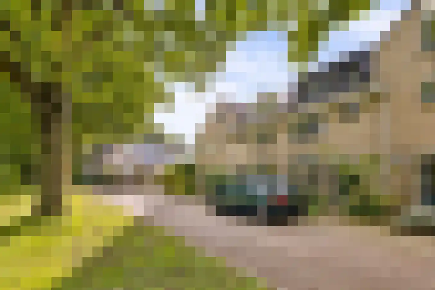 Reaalslag 29 Houten thumbnail 8