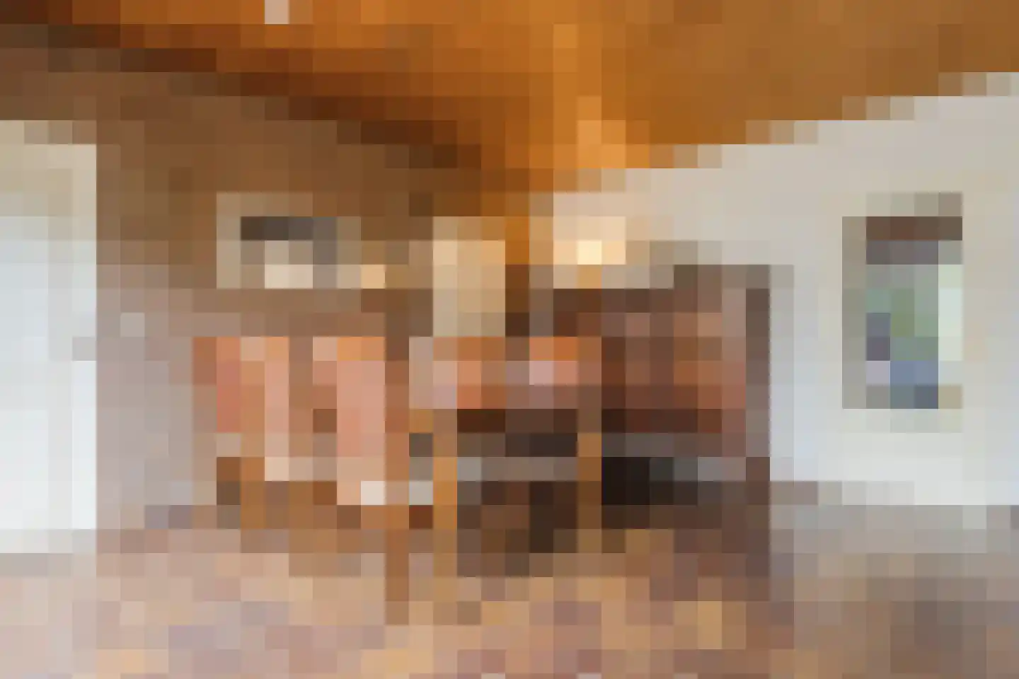 Reaalstede 21 Cuijk thumbnail 10