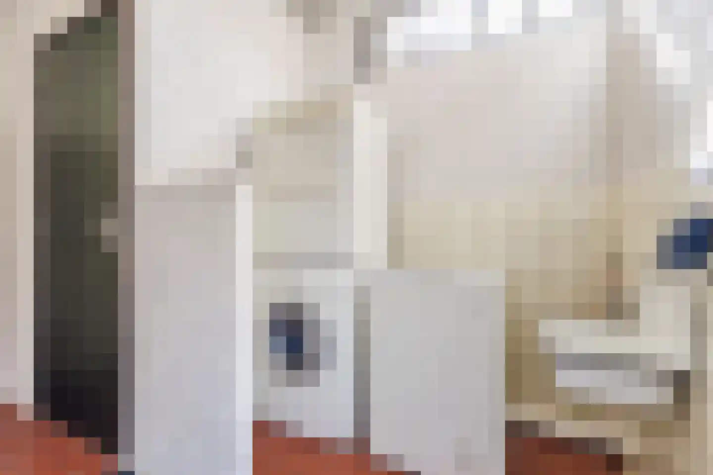 Reaalstede 21 Cuijk thumbnail 15