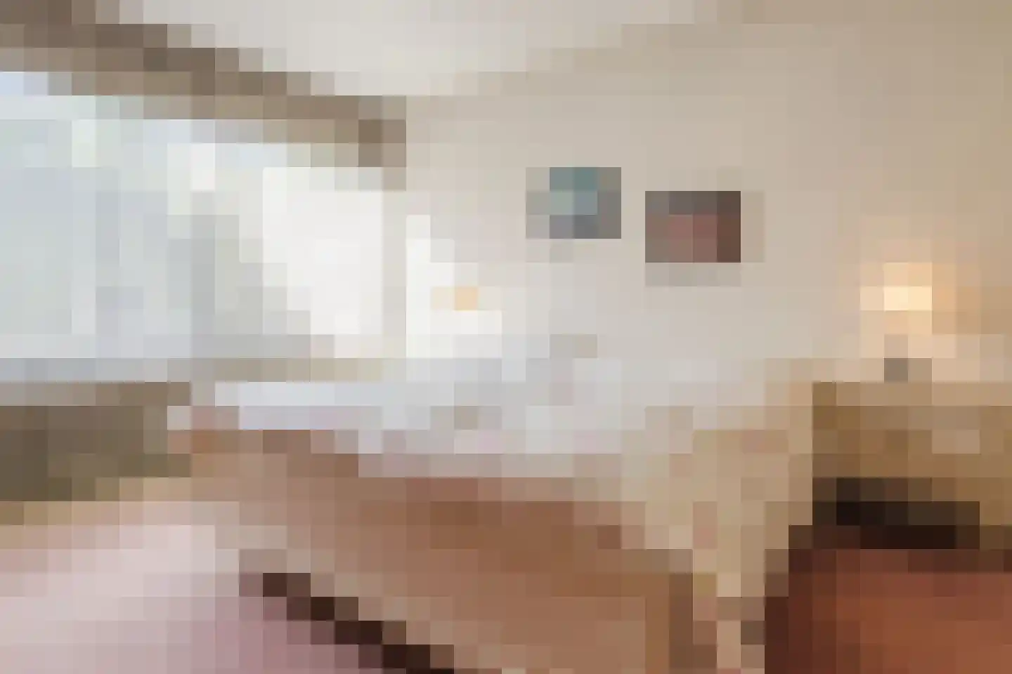 Reaalstede 21 Cuijk thumbnail 17