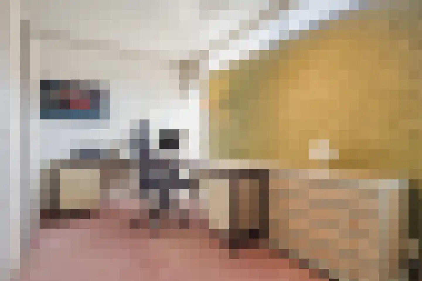Reaalstede 21 Cuijk thumbnail 18
