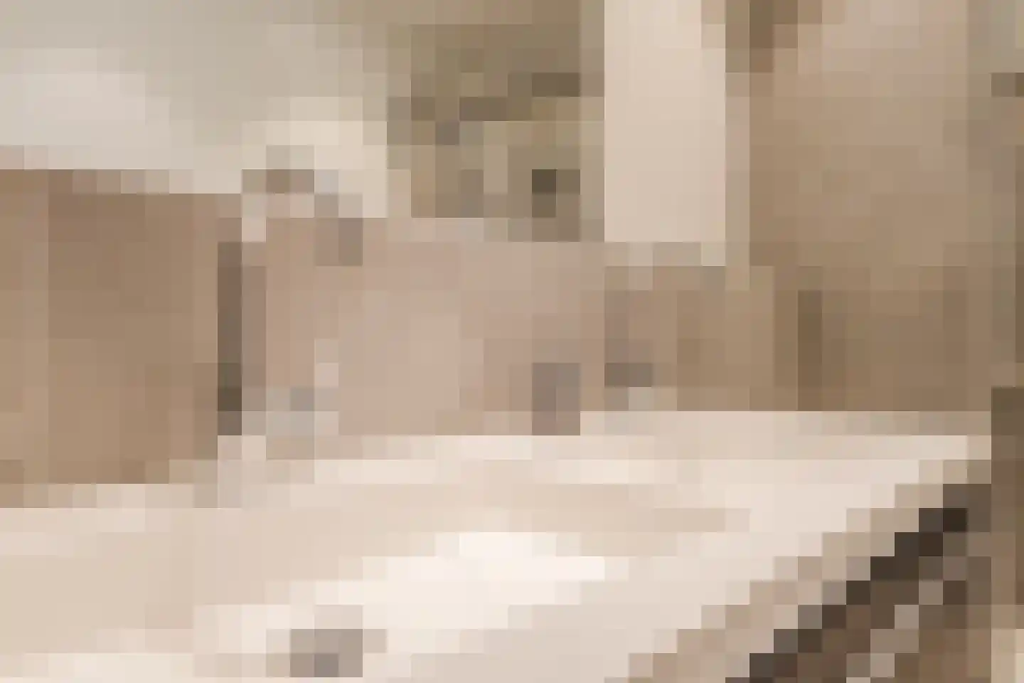 Reaalstede 21 Cuijk thumbnail 21