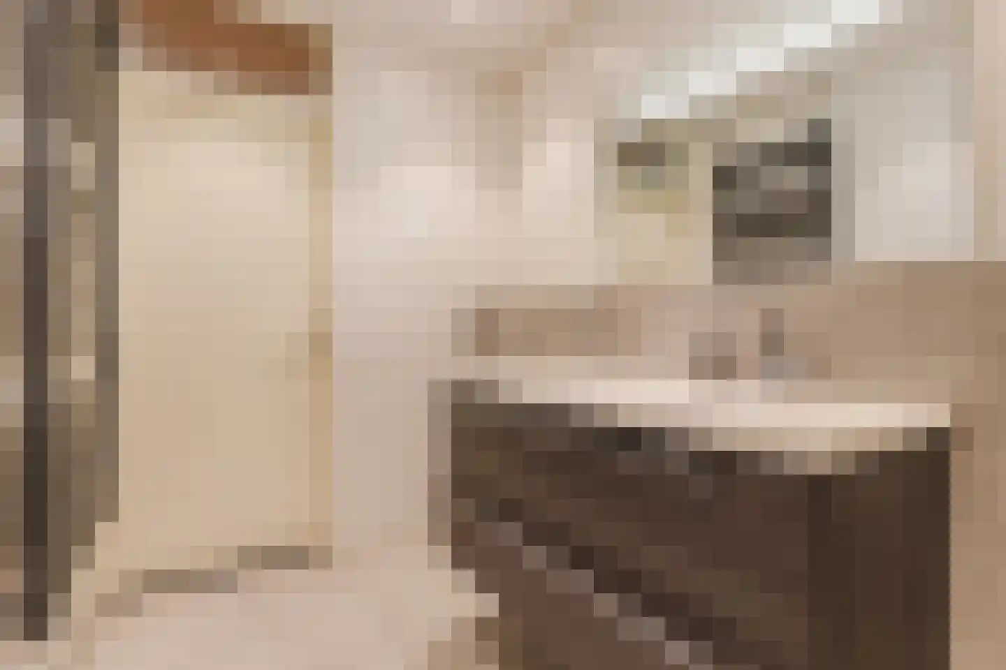 Reaalstede 21 Cuijk thumbnail 22