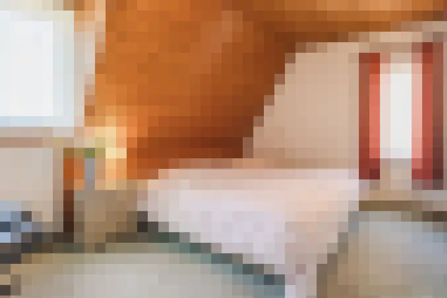 Reaalstede 21 Cuijk thumbnail 24