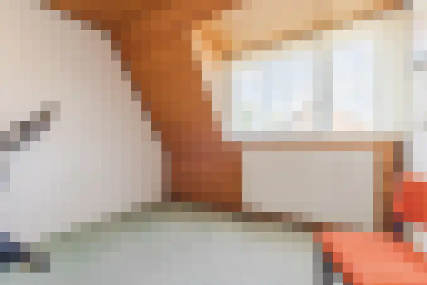 Reaalstede 21 Cuijk thumbnail 26