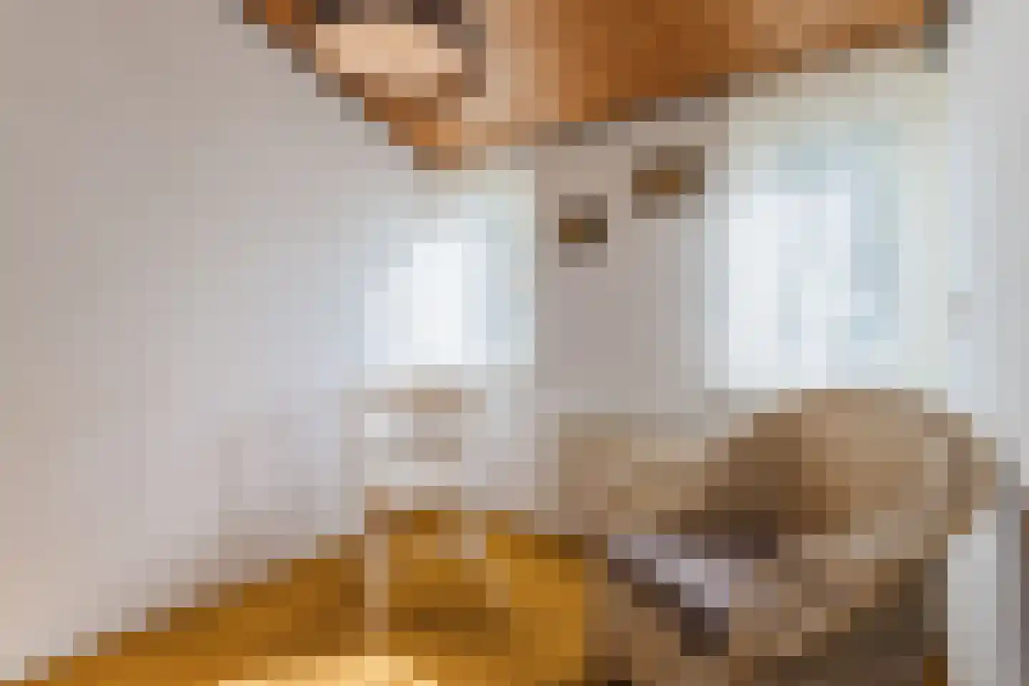 Reaalstede 21 Cuijk thumbnail 29