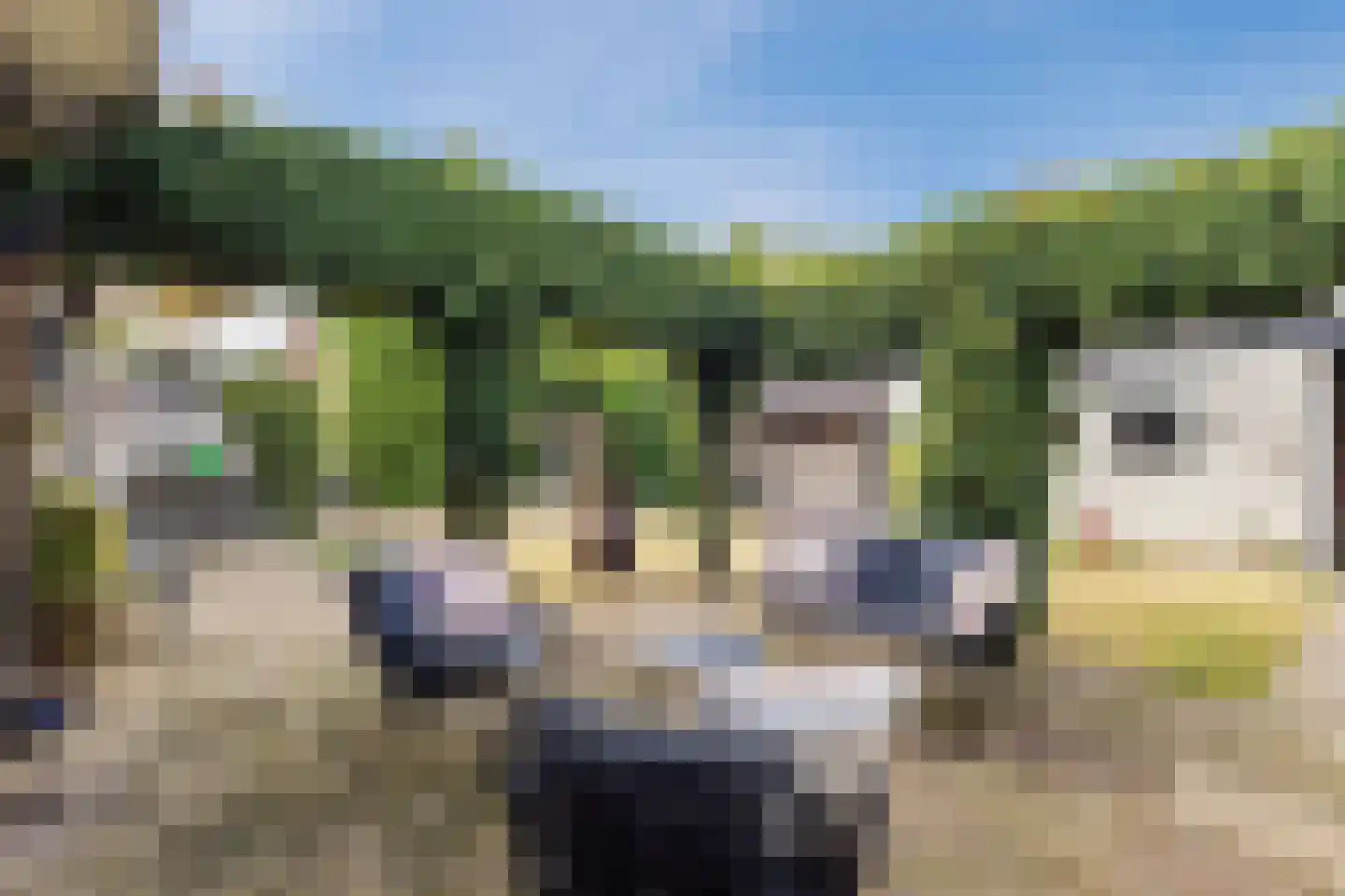 Reaalstede 21 Cuijk thumbnail 30