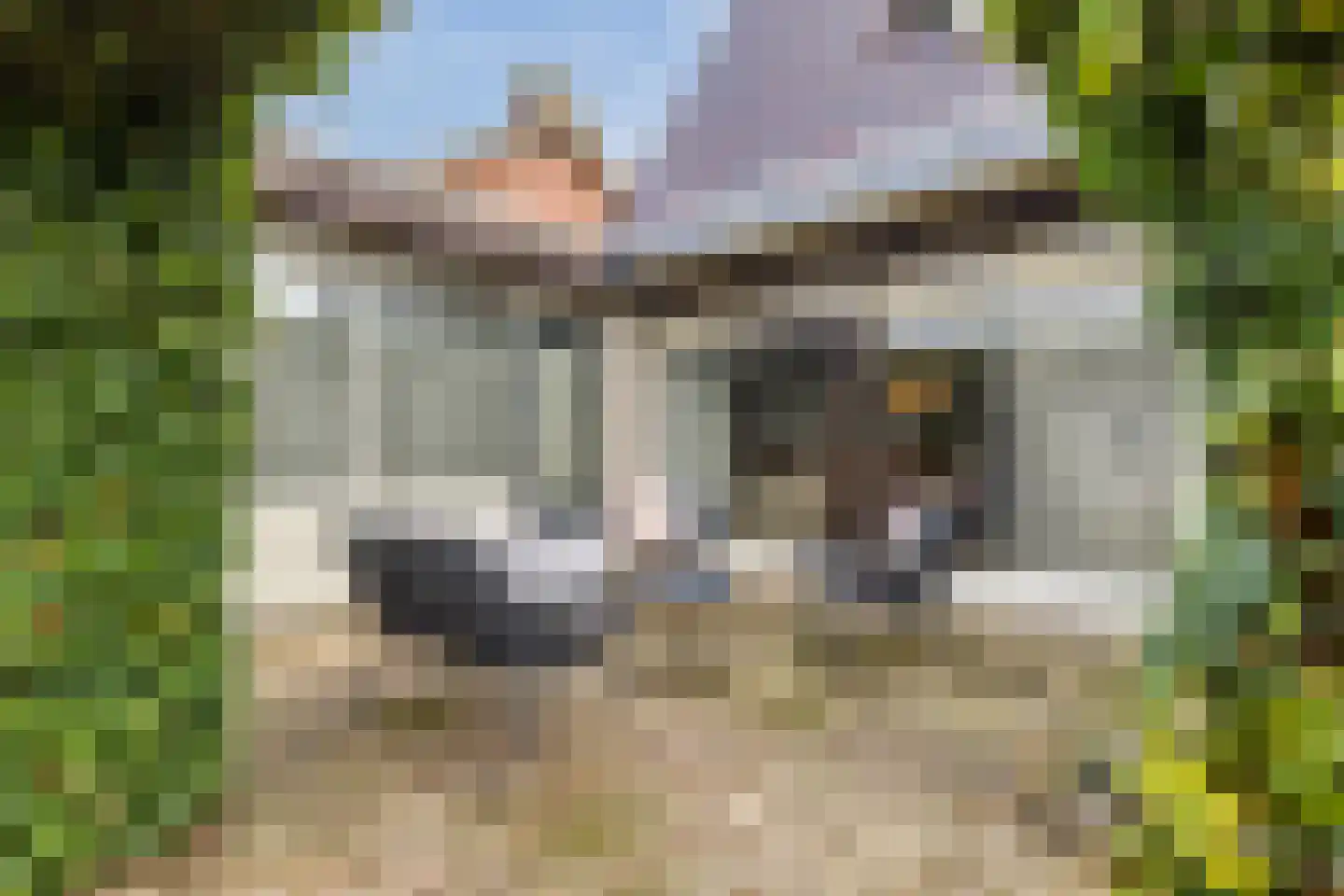 Reaalstede 21 Cuijk thumbnail 31