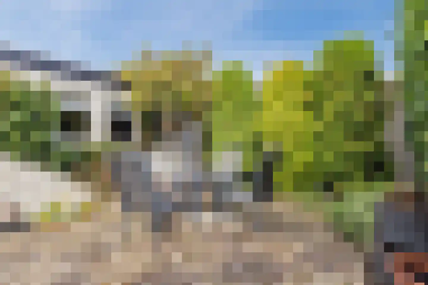 Reaalstede 21 Cuijk thumbnail 32