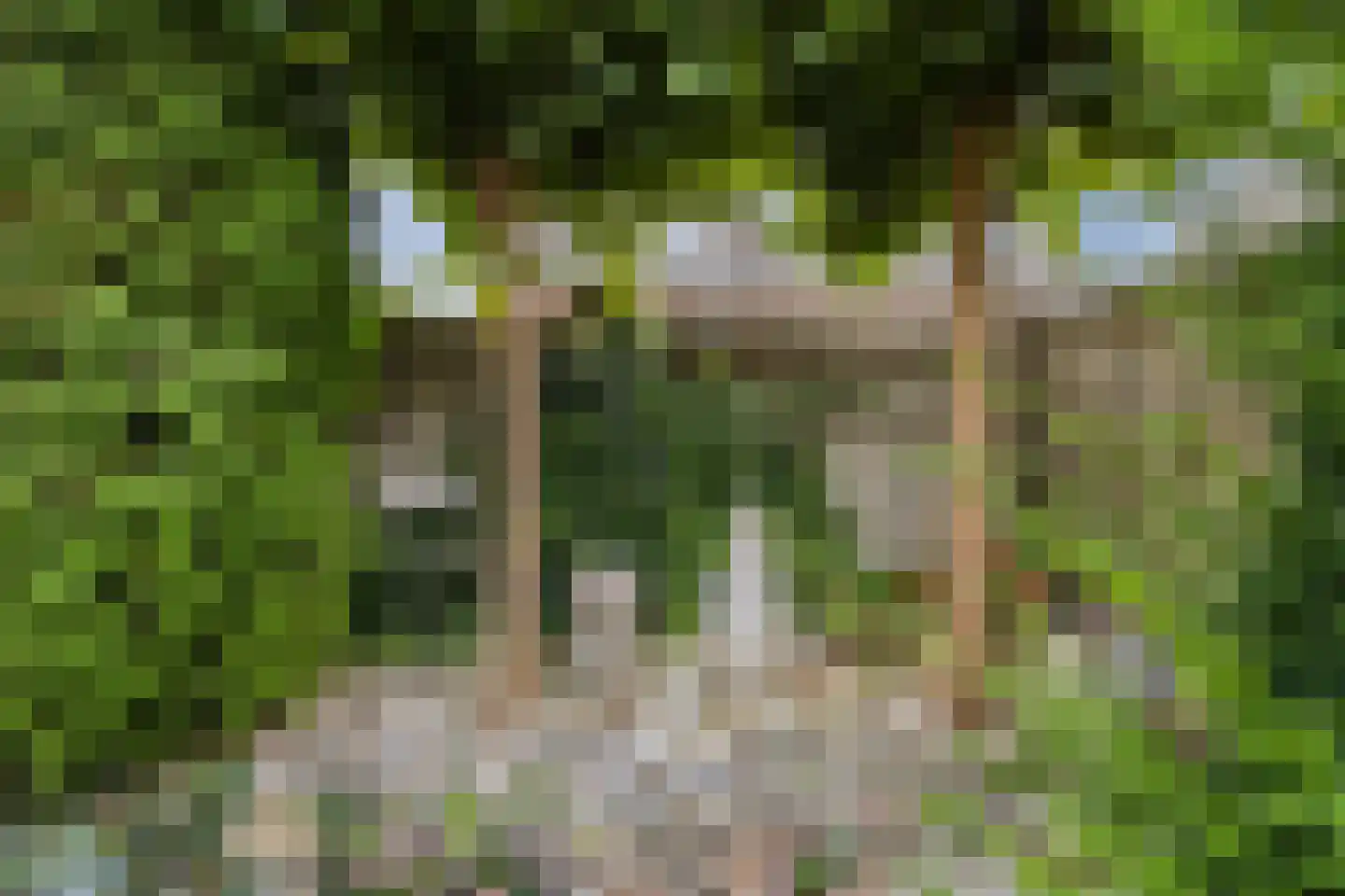 Reaalstede 21 Cuijk thumbnail 34