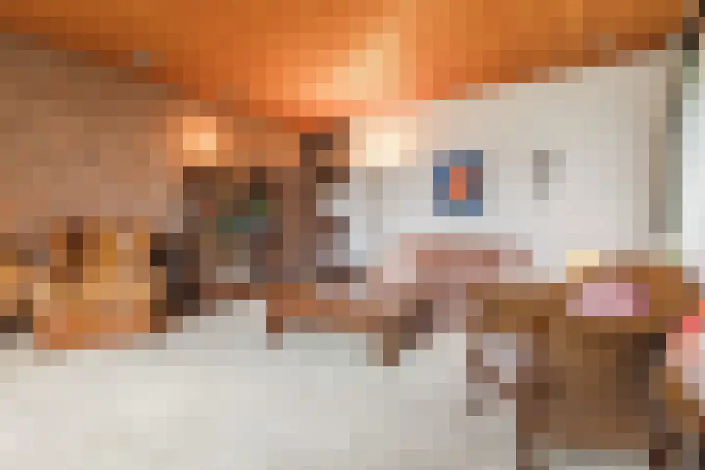 Reaalstede 21 Cuijk thumbnail 8