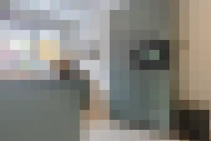 Reaalstraat 3 Alkmaar thumbnail 19