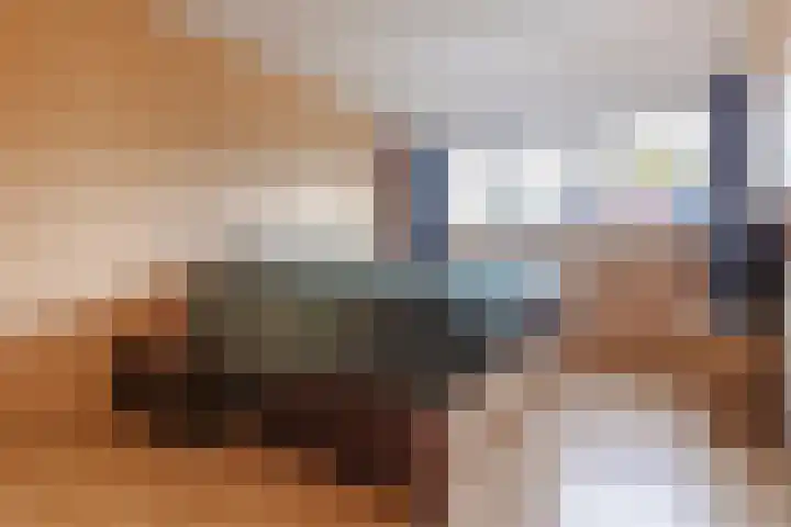 Reaalstraat 3 Alkmaar thumbnail 20