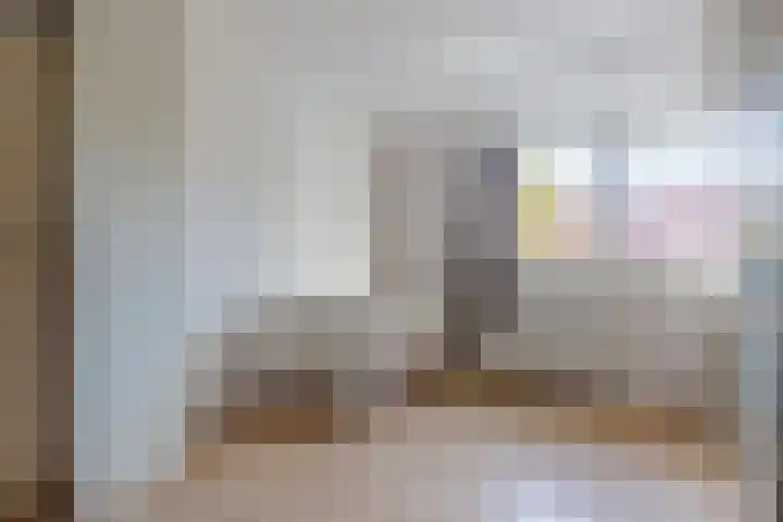 Reaalstraat 3 Alkmaar thumbnail 22