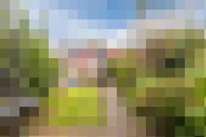 Reaalstraat 3 Alkmaar thumbnail 30