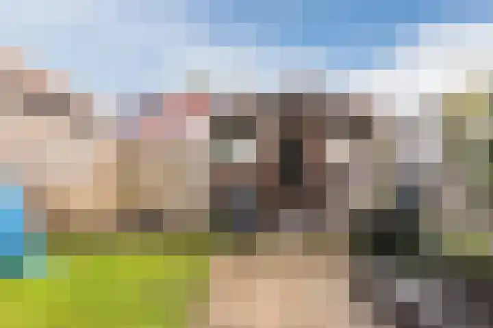 Reaalstraat 3 Alkmaar thumbnail 32