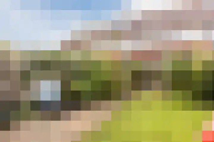 Reaalstraat 3 Alkmaar thumbnail 34