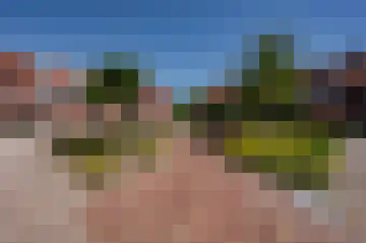 Reaalstraat 3 Alkmaar thumbnail 36