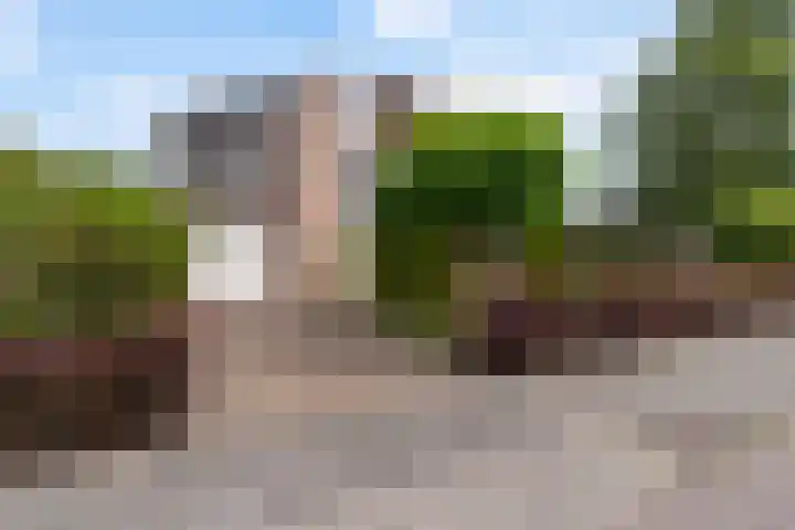 Reade Poarte 31 Goutum thumbnail 10