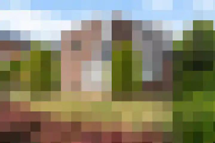 Reade Poarte 31 Goutum thumbnail 11