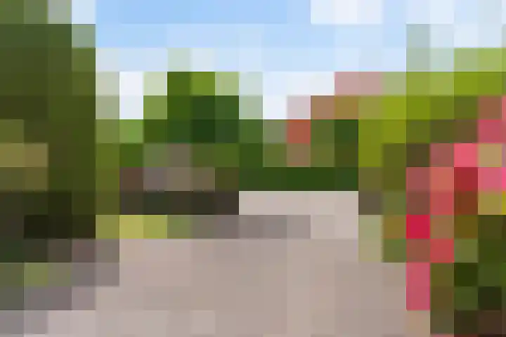 Reade Poarte 31 Goutum thumbnail 12