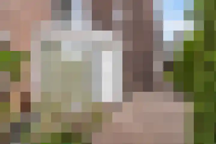 Reade Poarte 31 Goutum thumbnail 13
