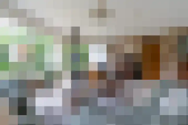 Reade Poarte 31 Goutum thumbnail 20