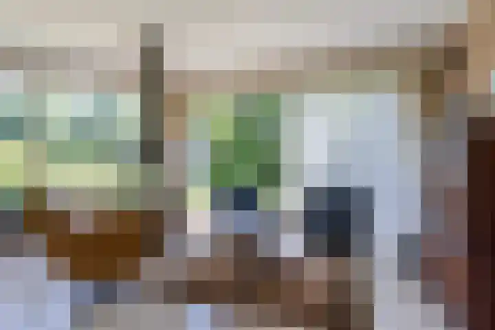 Reade Poarte 31 Goutum thumbnail 21