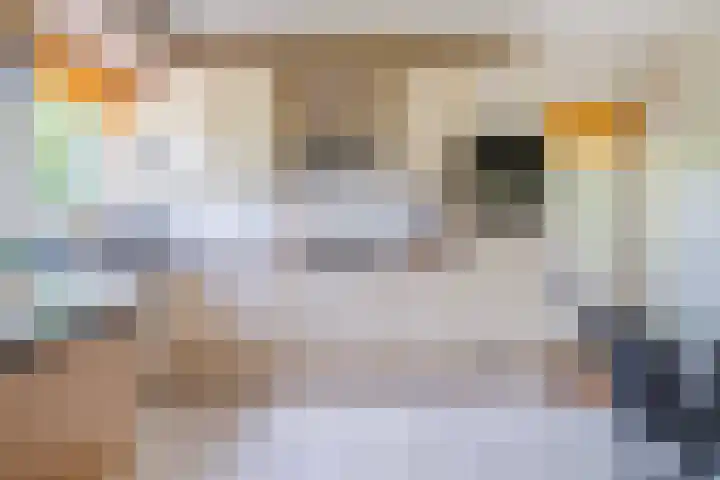 Reade Poarte 31 Goutum thumbnail 23